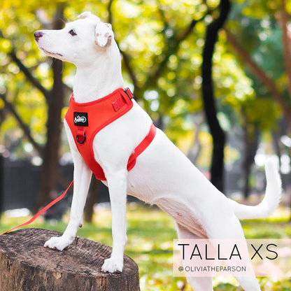 Pechera Ajustable Basic Red