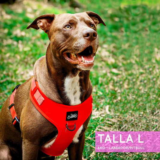 Pechera Ajustable Basic Red