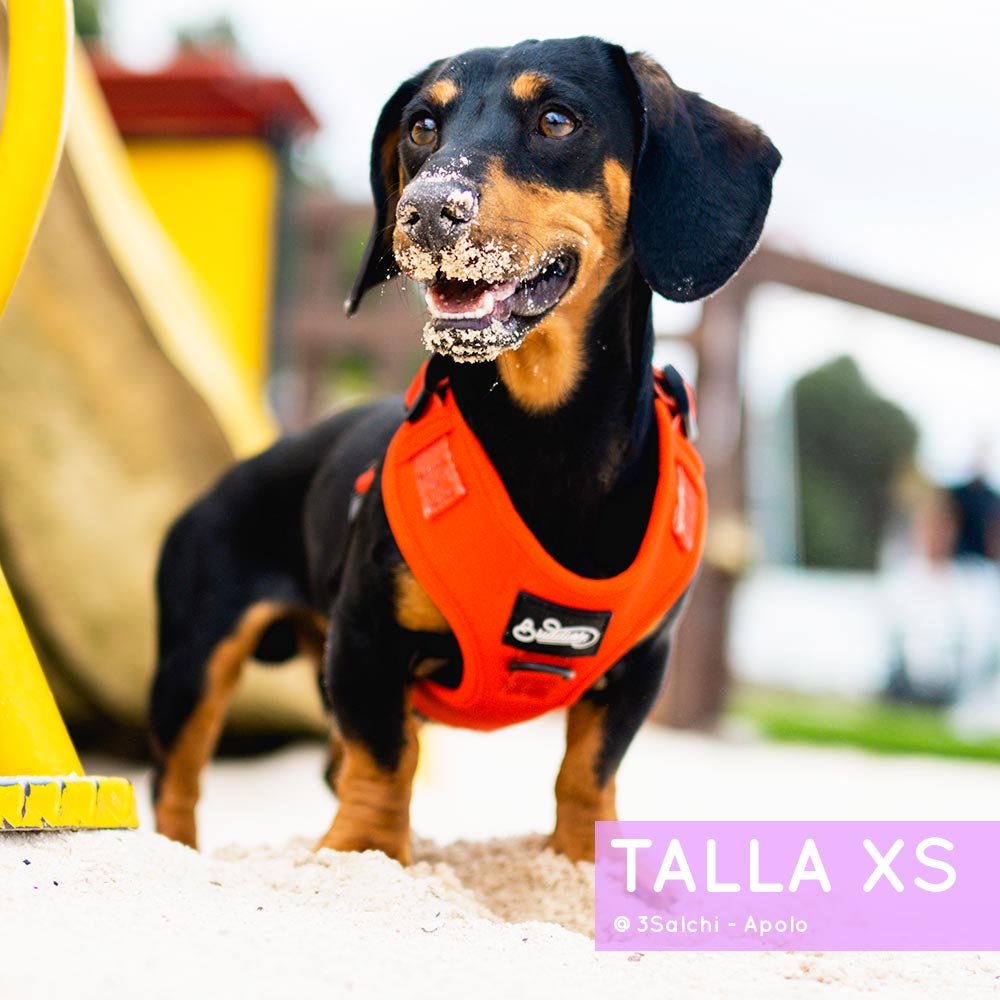 Pechera Ajustable Basic Red