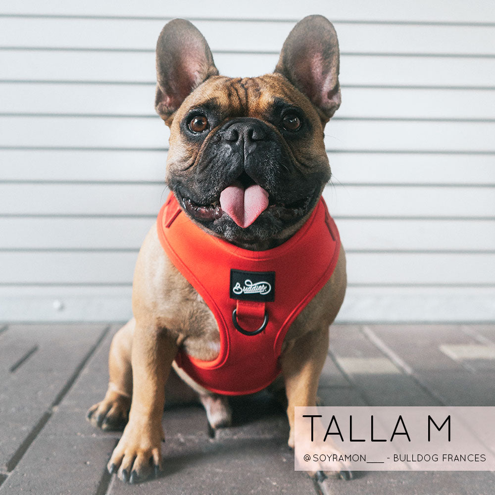 Pechera Ajustable Basic Red