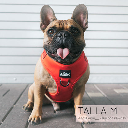 Pechera Ajustable Basic Red