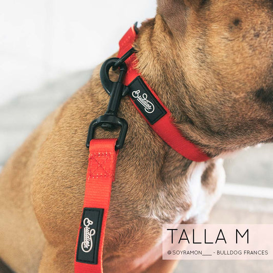 Conjunto Collar Basic Red