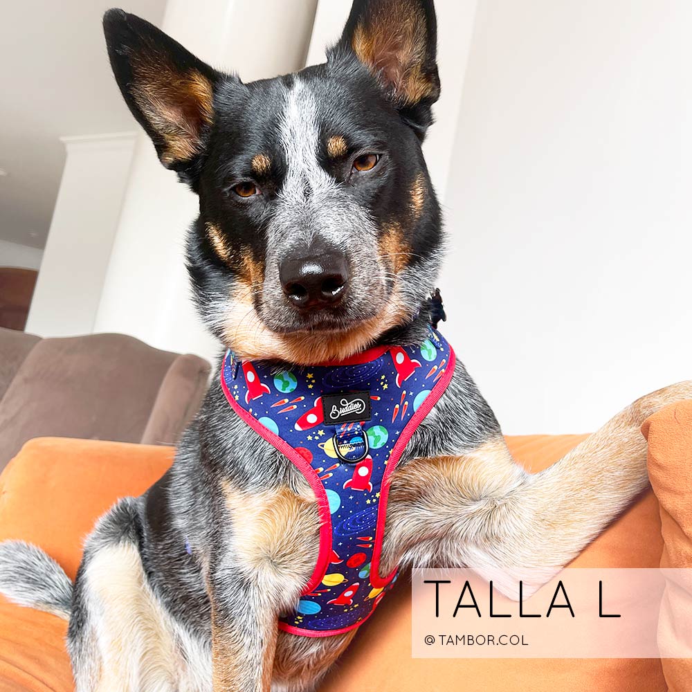 Pechera Ajustable Space