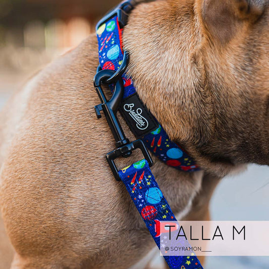 Conjunto Collar Space