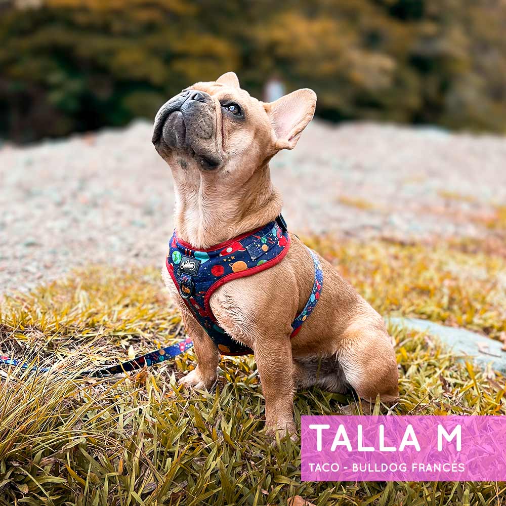 Pechera Ajustable Space