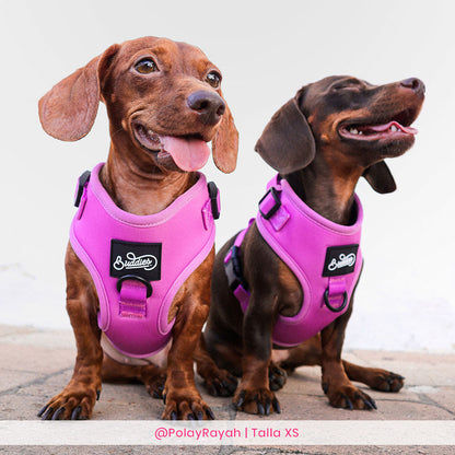 Pechera Ajustable Basic Magenta