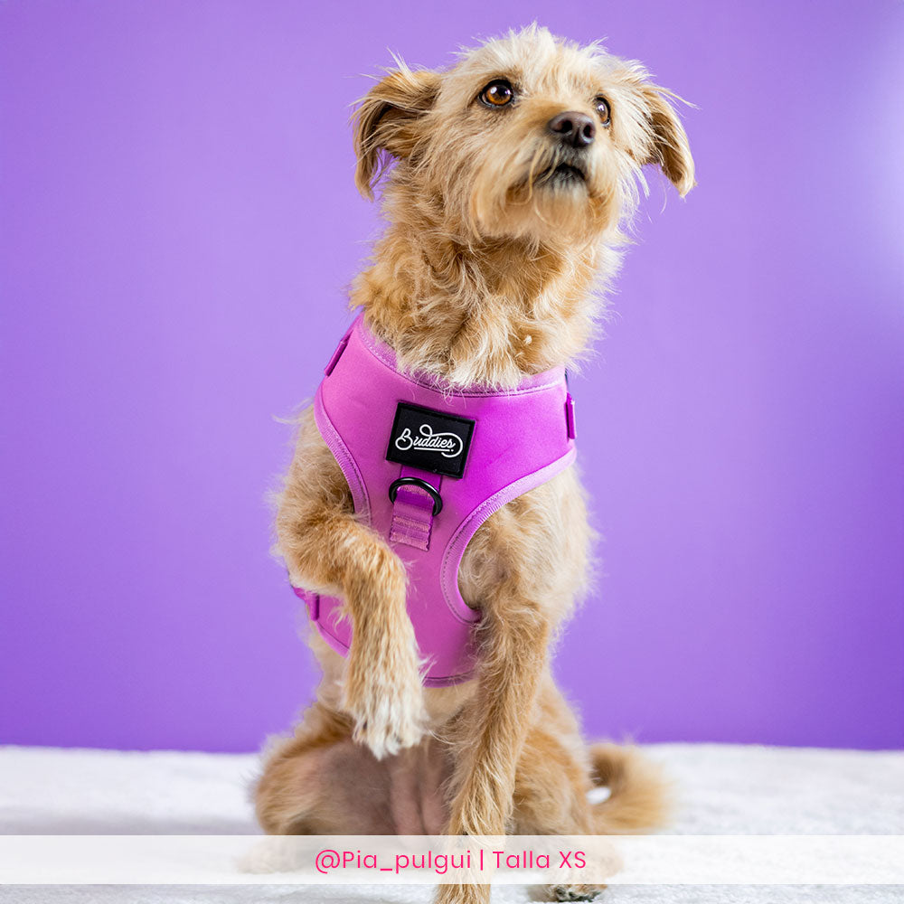 Pechera Ajustable Basic Magenta