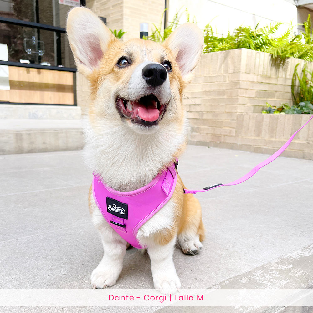 Pechera Ajustable Basic Magenta