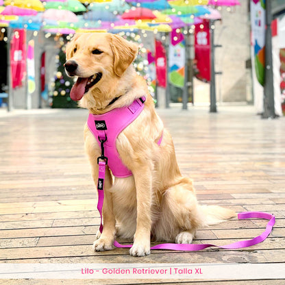 Conjunto Basic Magenta