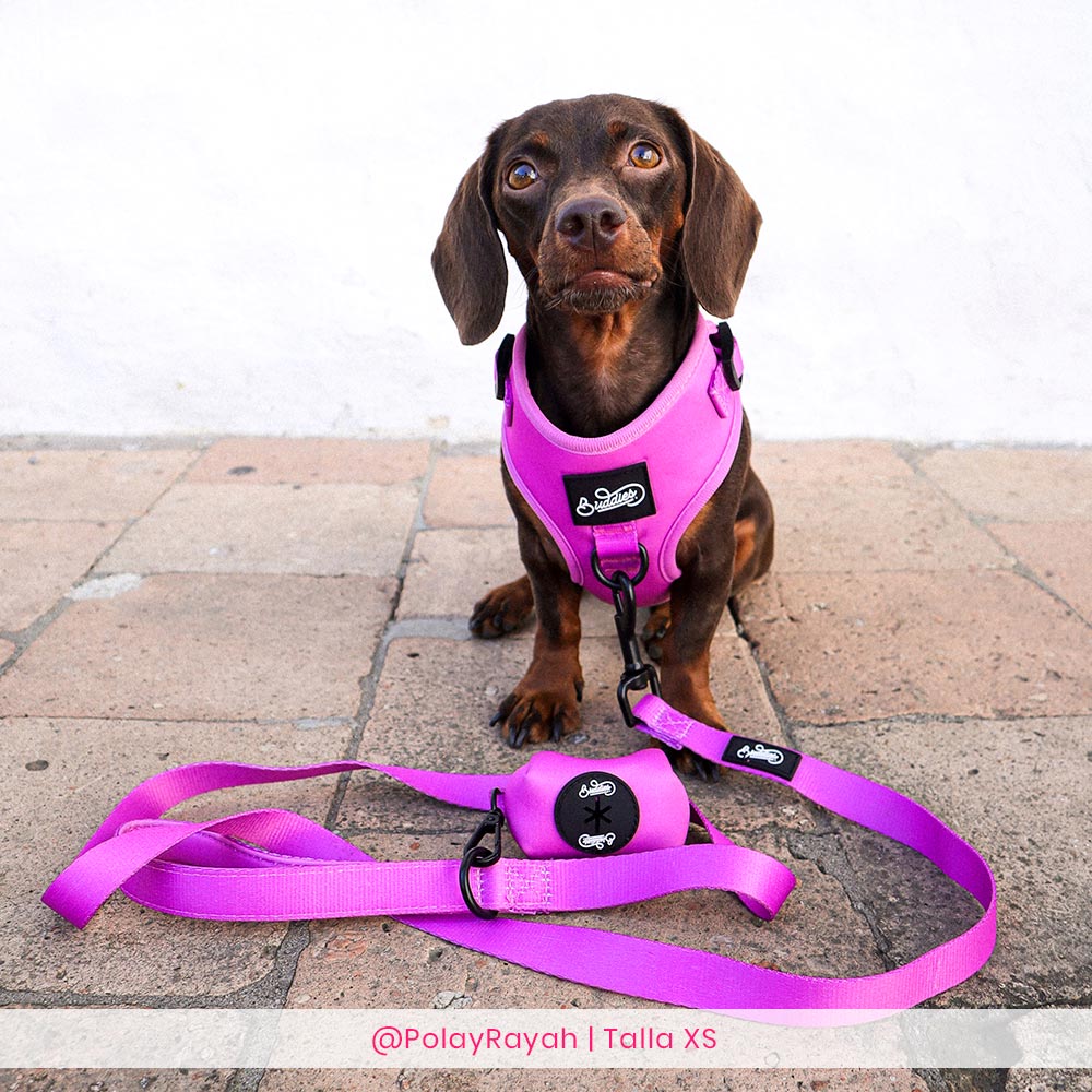 Conjunto Basic Magenta