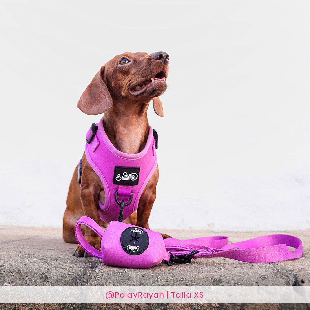 Conjunto Basic Magenta