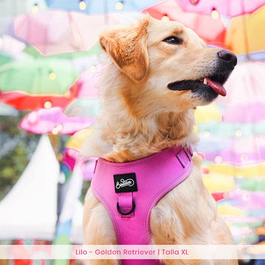 Pechera Ajustable Basic Magenta