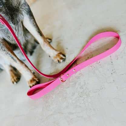 Correa Wet Neon Pink