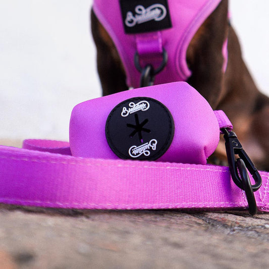 Porta Bolsas Basic Magenta