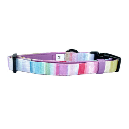 Collar Rainbow