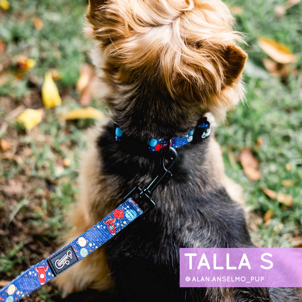 Conjunto Collar Space