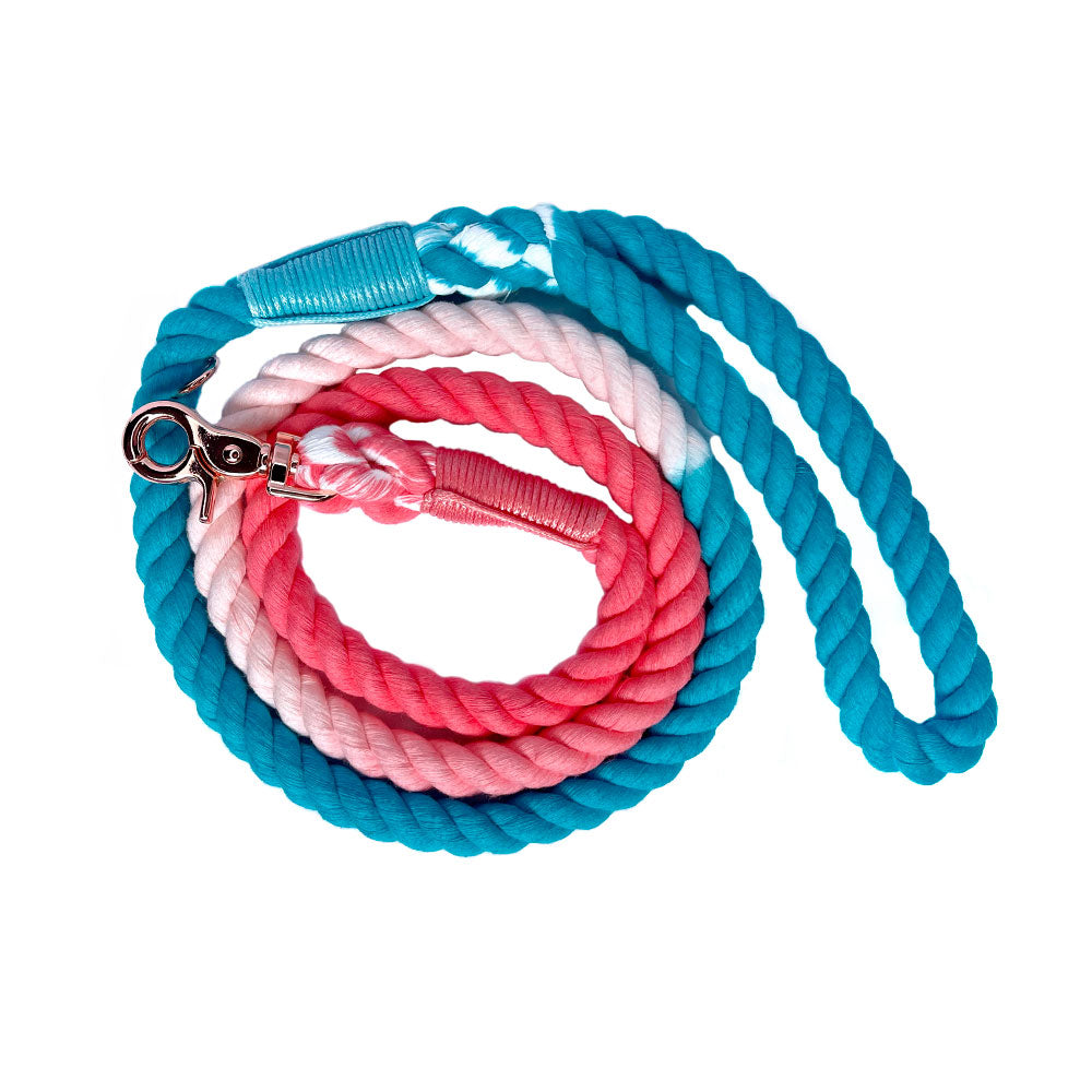 Lazo Algodón de Azúcar