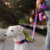 Correa - Candy - Image 2