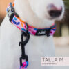 Collar - Candy - Image 5