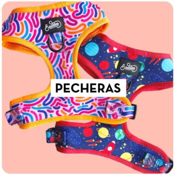 Pecheras