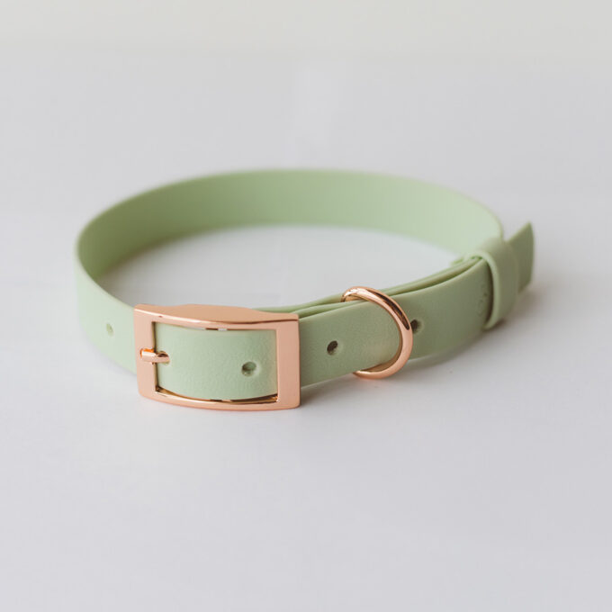 Collar - Wet Mint - Image 2