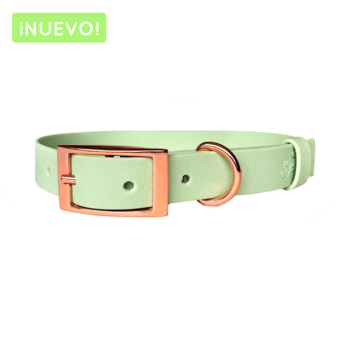 Collar - Wet Mint