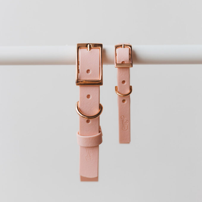 Collar - Wet Rosewater - Image 4