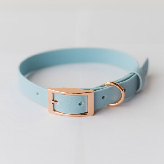 Collar - Wet Sky Blue - Image 3