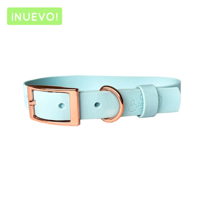 Collar - Wet Sky Blue