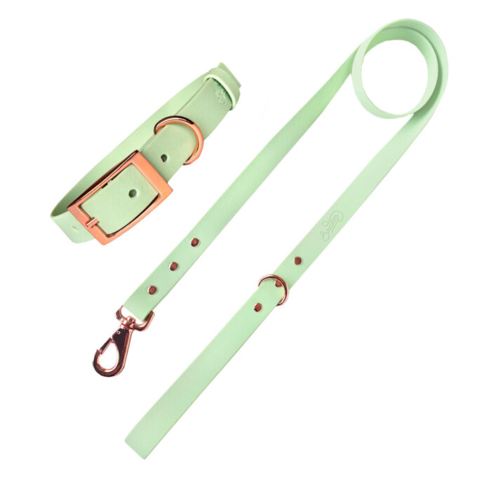 Conjunto - Wet Mint