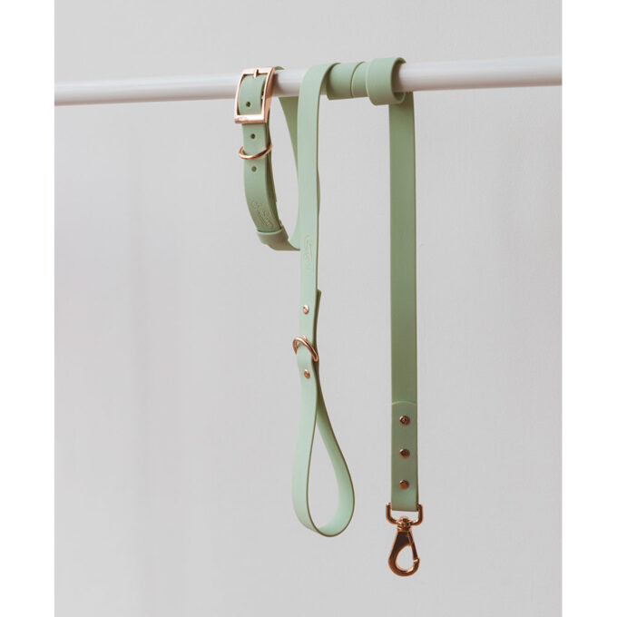 Conjunto - Wet Mint - Image 2