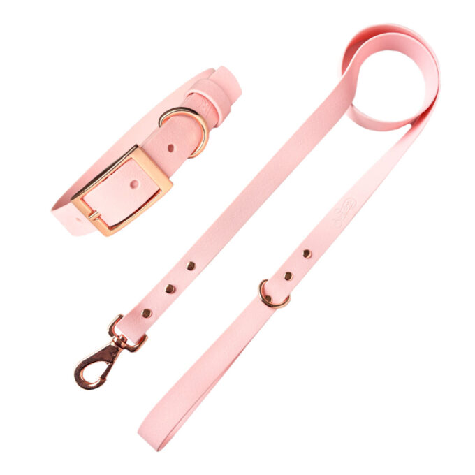 Conjunto - Wet Rosewater