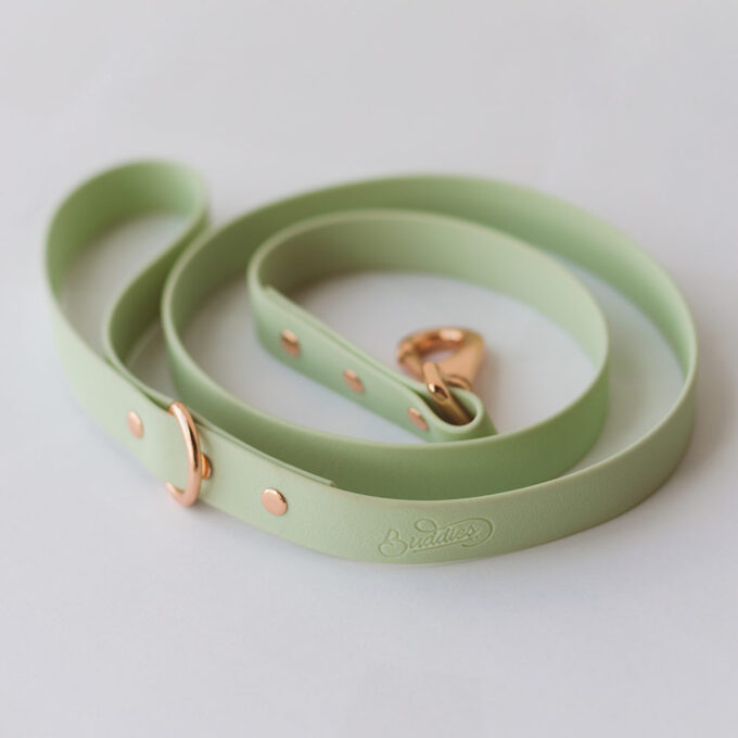 Correa - Wet Mint - Image 4