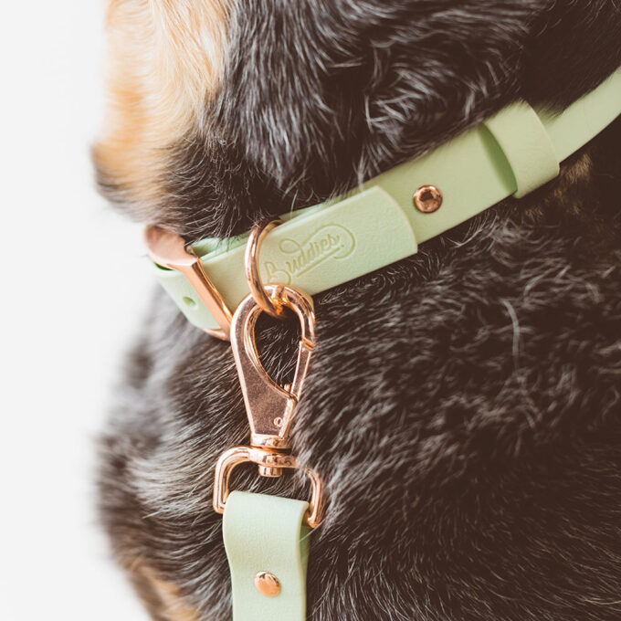 Collar - Wet Mint - Image 3
