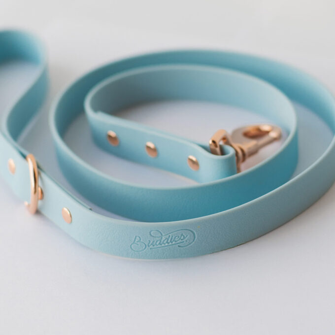 Correa - Wet Sky Blue - Image 2