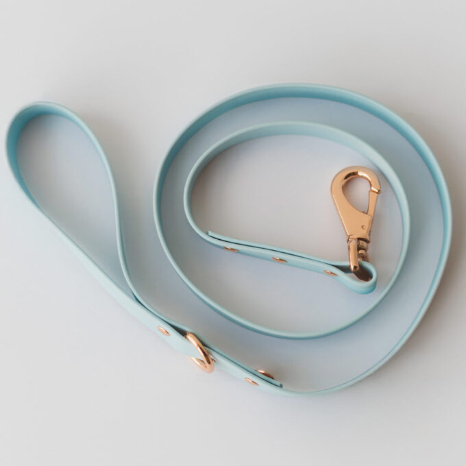 Correa - Wet Sky Blue - Image 5